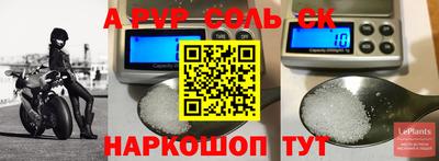 ECSTASY Кунгур