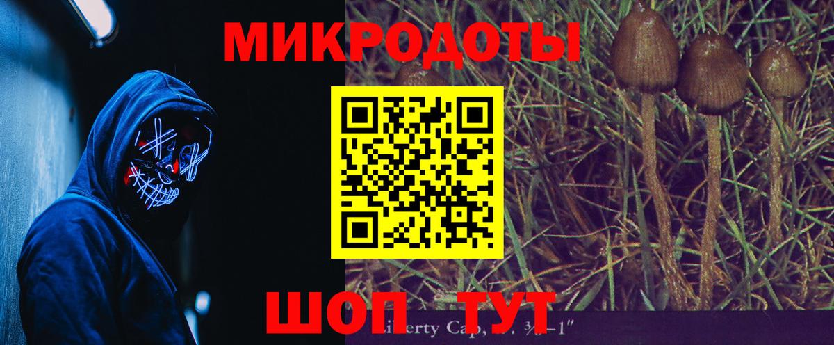 Псилоцибиновые грибы Psilocybine cubensis  Вход с VPN  Иваново 