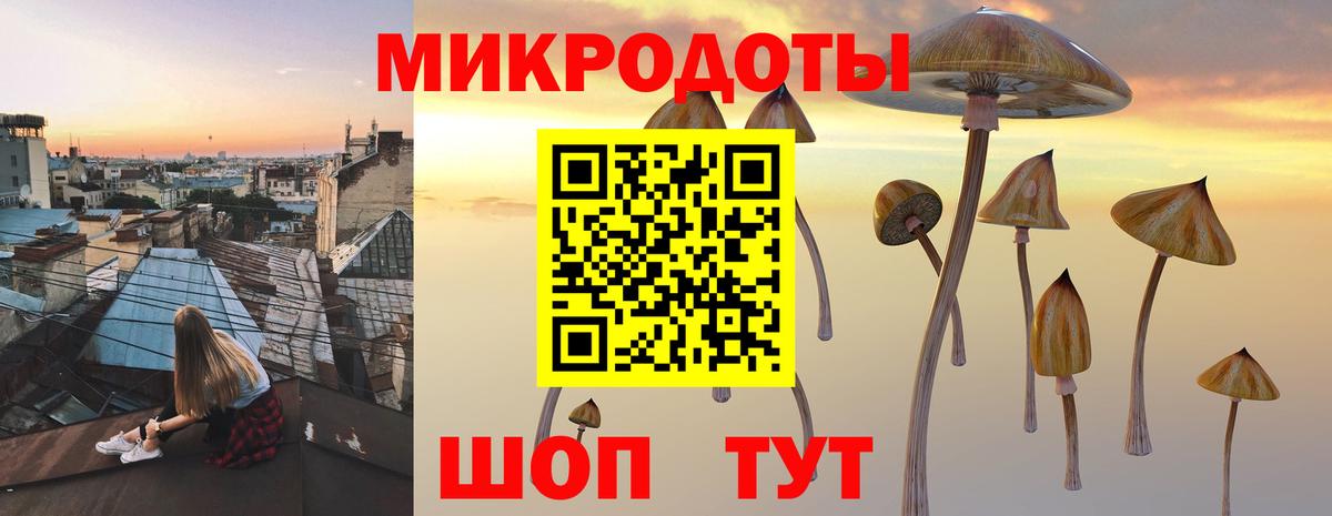 Псилоцибиновые грибы ЛСД Иваново